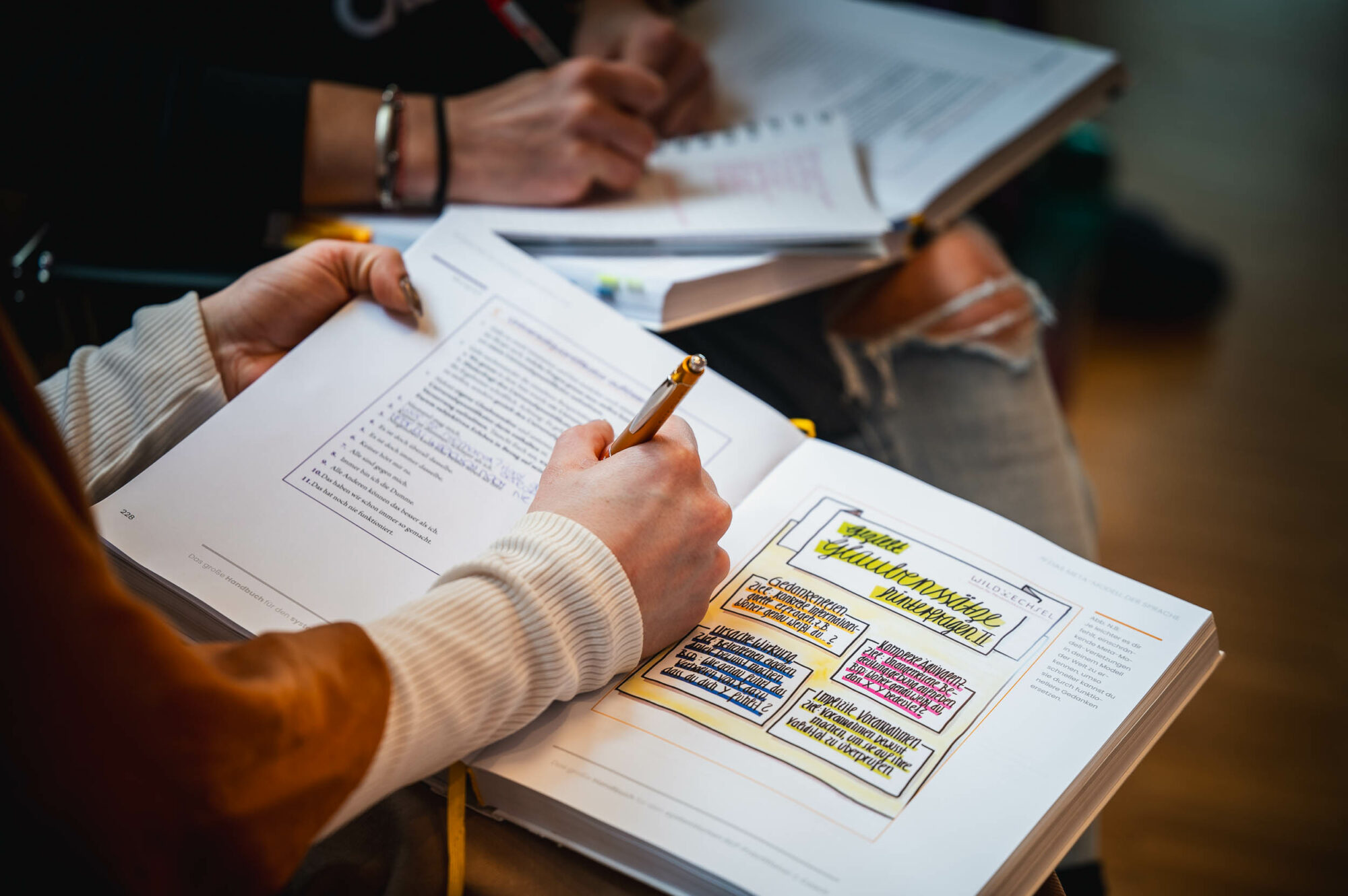 Das große Handbuch für den systemischen NLP-Practitioner & Coach